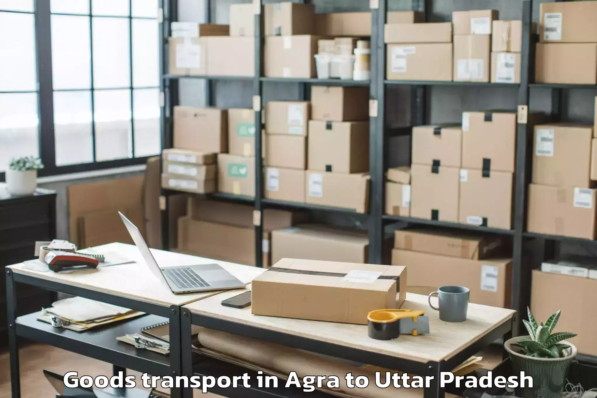 Professional Agra to Galgotias University Noida Goods Transport